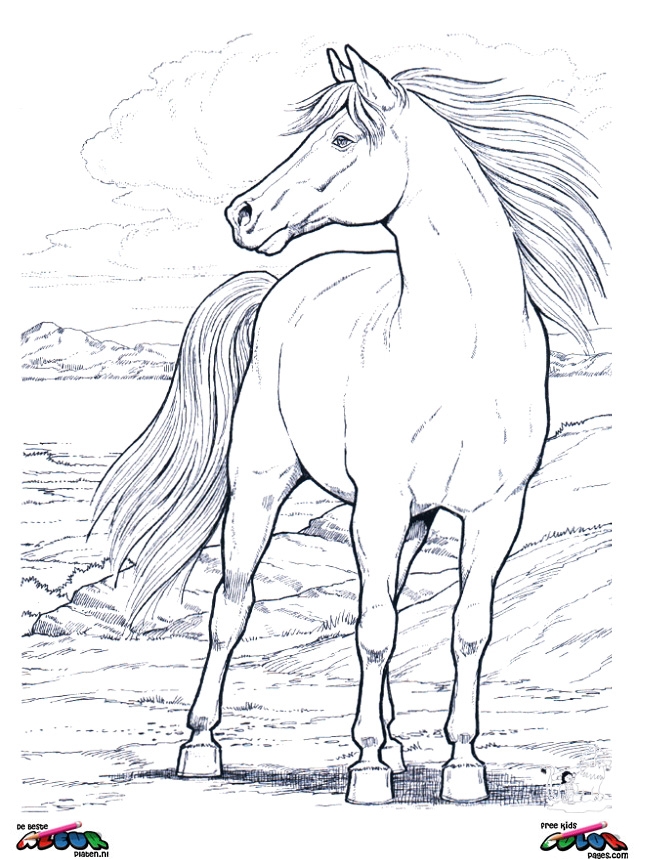 Horses011 - Printable coloring pages