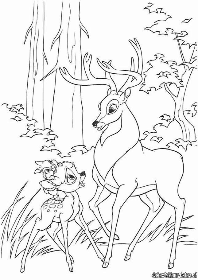 Bambi9   Printable coloring pages
