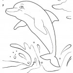 Dolphins coloringpages - 