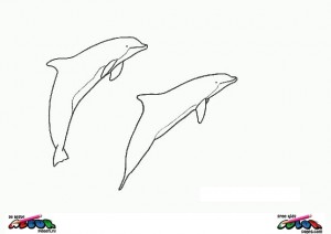 Dolphin016 - Printable coloring pages