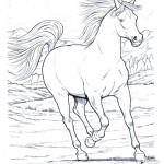 Horses coloringpages - 