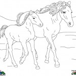 Horses coloringpages - 